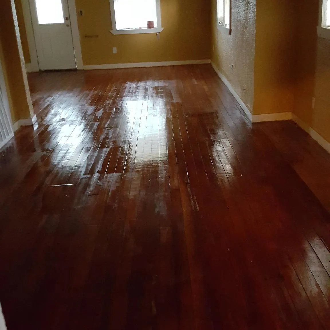 3 bed, 1200 sqft, $1,100 — Photo 4