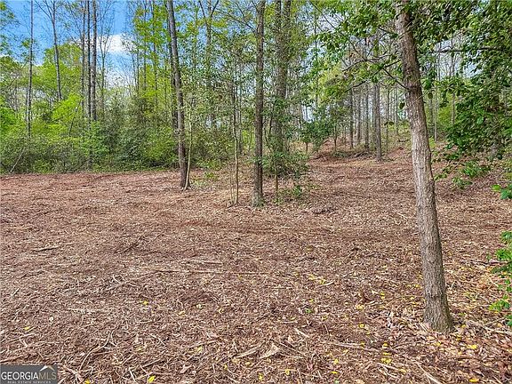 3rd image of 101 Broad River Rd Lot 7
