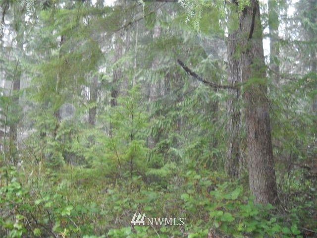 2nd image of 90 N Mount Tebo Way