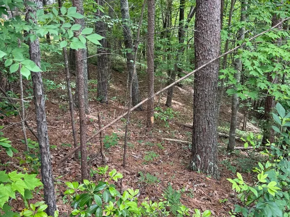 0 Hinterstraten Weg #116, Helen, GA 30545