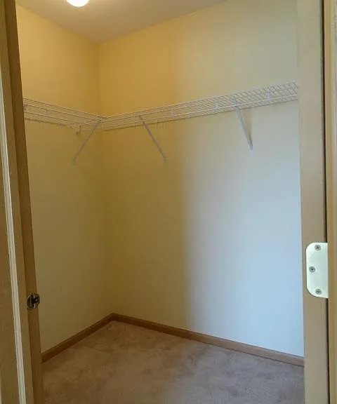 1431 Silverstone Dr — Photo 11