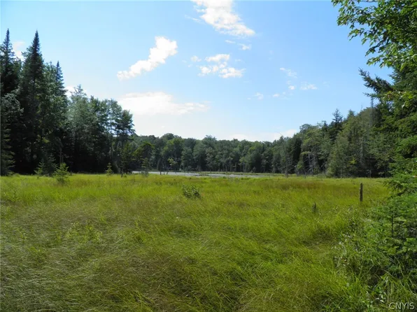 0 Mud Lake Rd #6, West Leyden, NY 13489