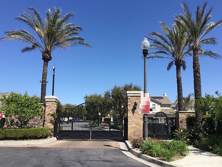 スケートボード hinatasakuhana スケートボード hinatasakuhana JAPAN TEAM – Z-FLEX SKATEBOARDS