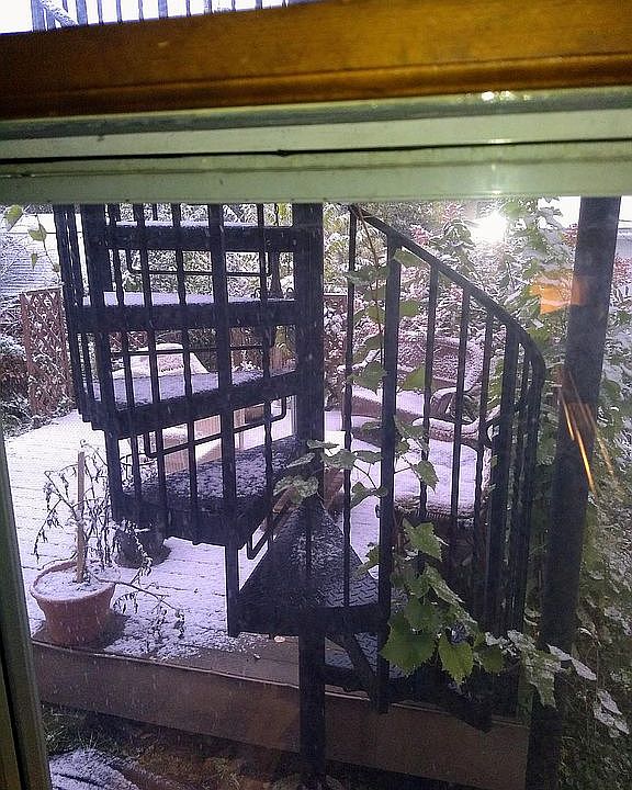 1st image of 3650 Thomas Ave N