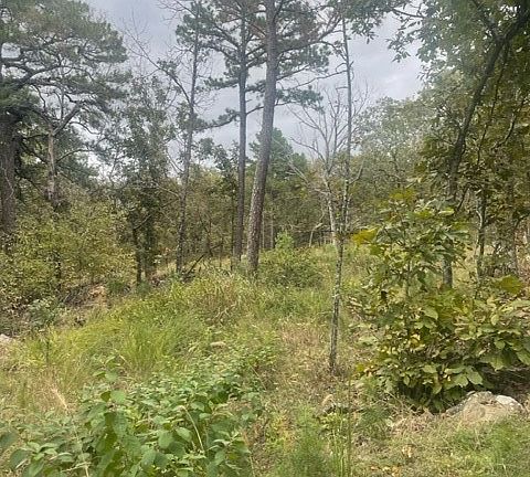 4th image of 80 SE Highway 82