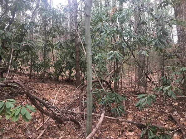 471 Misty Jump Ln, Millers Creek, NC 28651