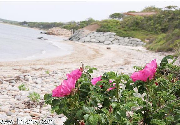 Private nearby Assoc. Beach