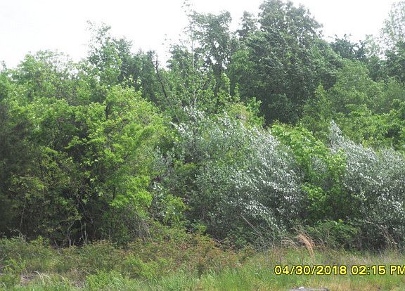 2nd image of 190 Highway 17 S