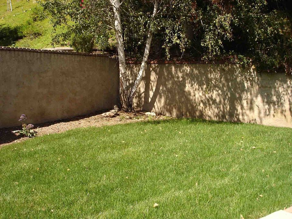 Spacious yard