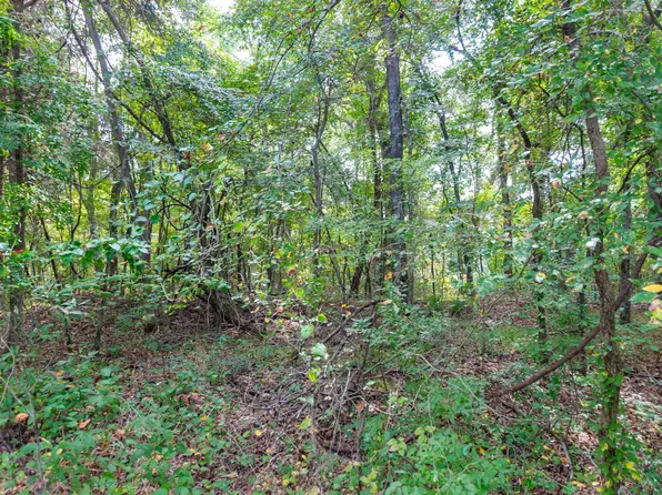 19555 County Road 178, Flint, TX 75762