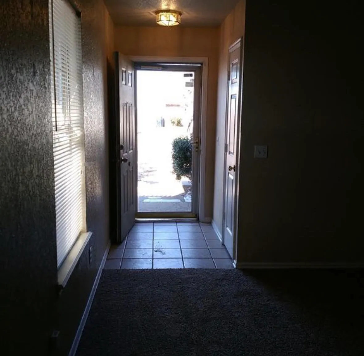 2 bed, $1,250 — Photo 2