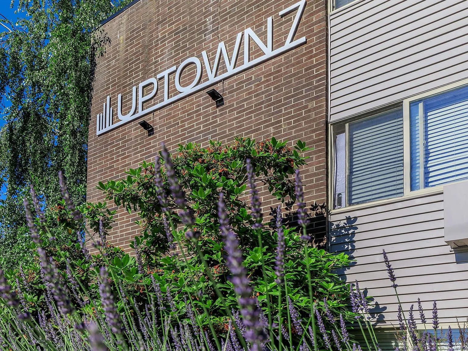 Uptown 7 Apartments — Photo 3