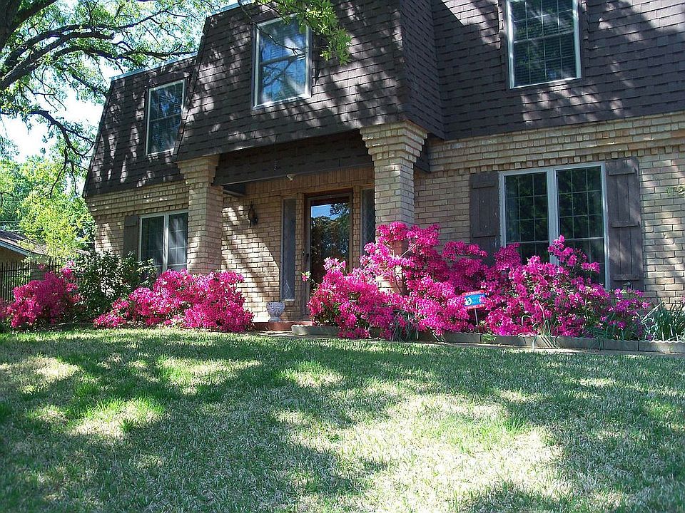 Spring Azaleas 2010