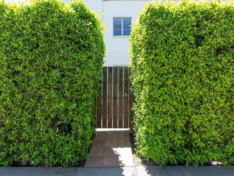 7722 Rosewood Ave #7722 — Photo 18