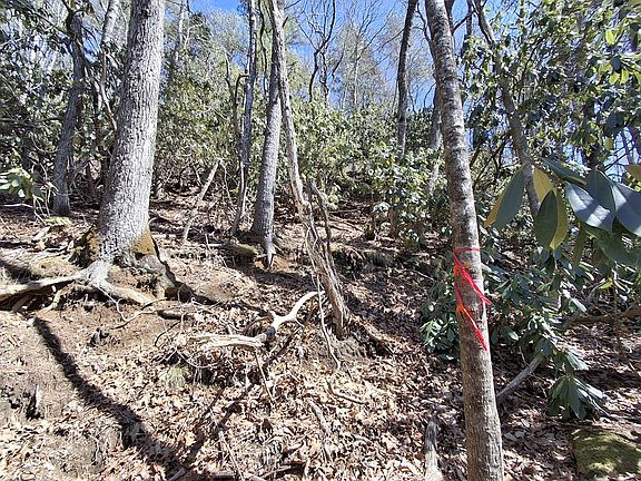 2nd image of 0 Vess Owen Rd