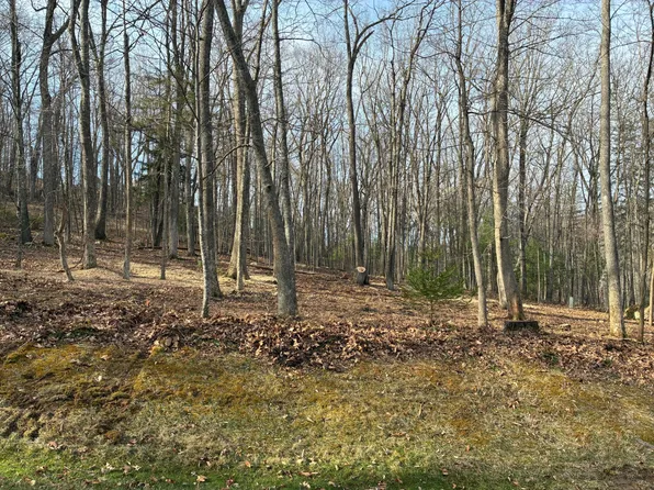 Donald Ross Trl Lot 50, Hot Springs, VA 24445