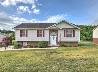 141 Hunters Run Ln, Mount Carmel, TN 37645