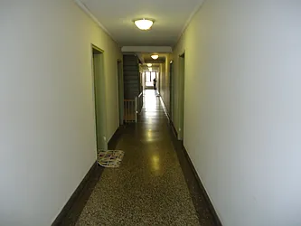 Rented by The Coop Connection LLC