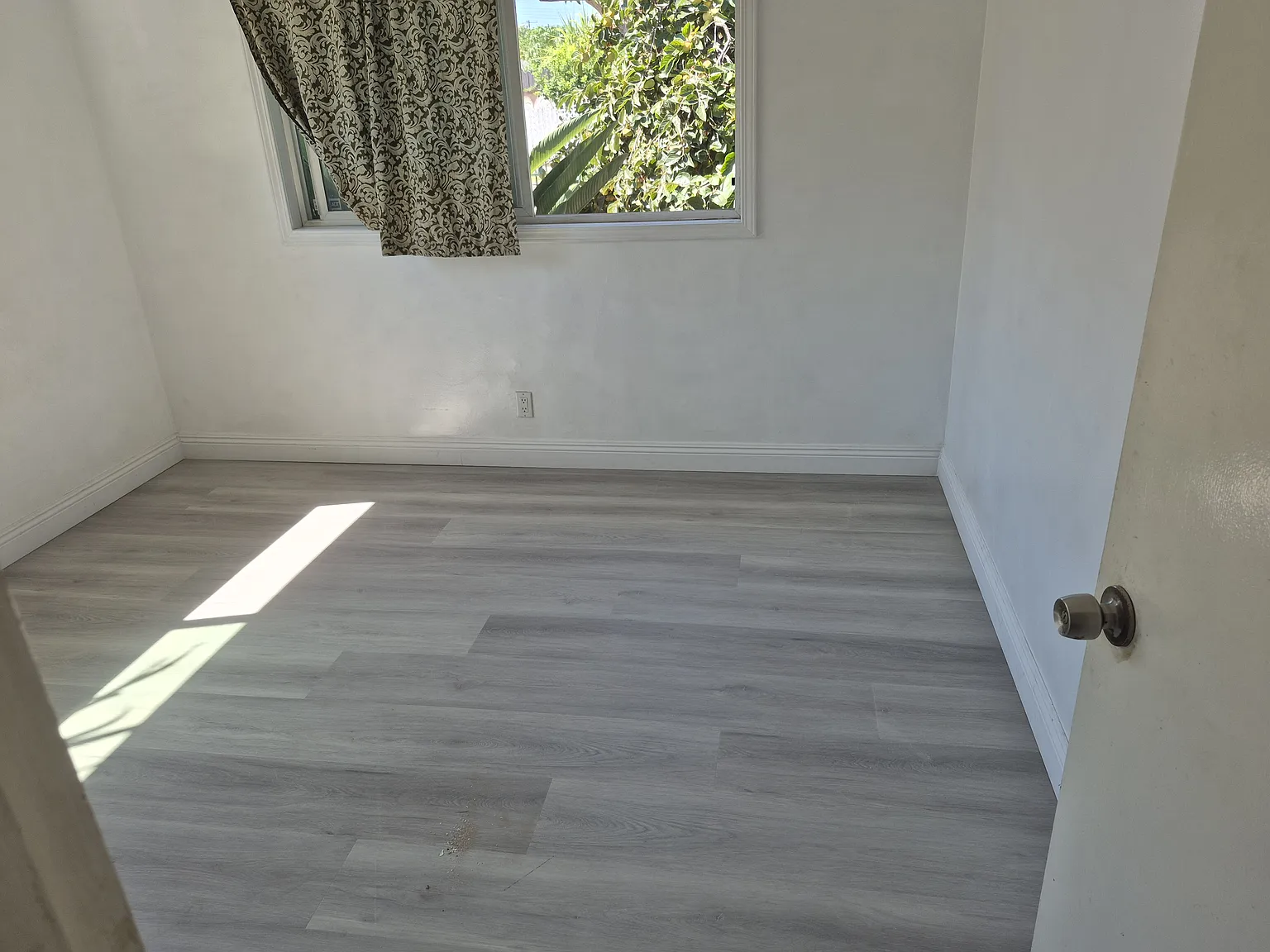 1 bed, 125 sqft, $800 — Photo 2