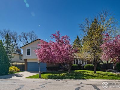 2417 15th Ave, Longmont, CO, 80503