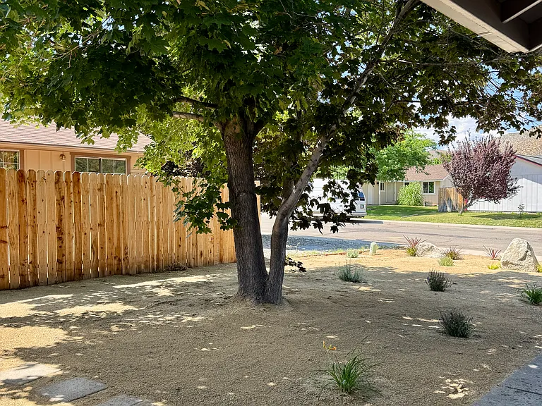 Front Yard