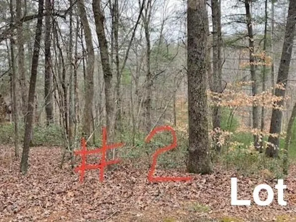 2 Reserve Trl Lot 2, Stuart, VA 24171