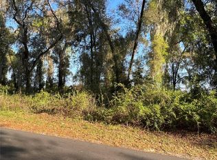 County Road 622 LOT 45, Bushnell, FL 33513