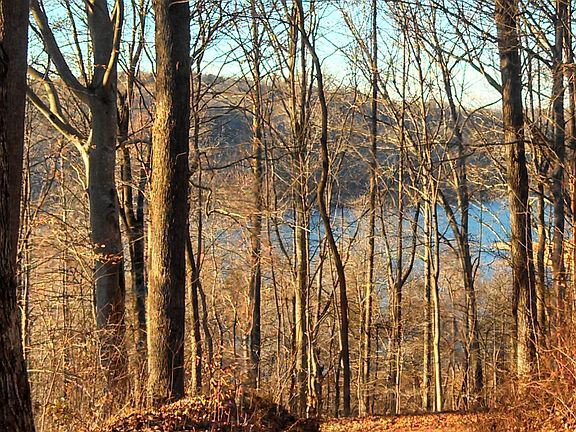 5th image of Tecumseh Ln