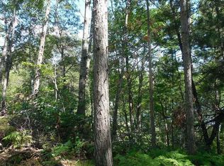 Leeman Rd, Sagola, MI 49881