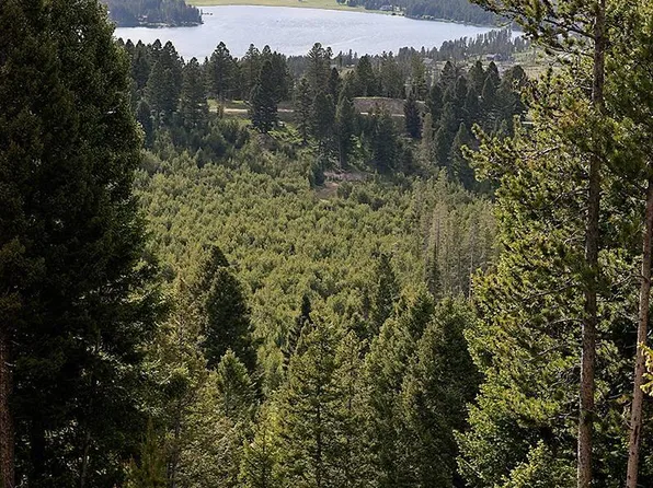 16 Discovery View Ln, Anaconda, MT 59711