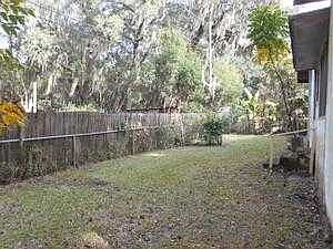 back yard