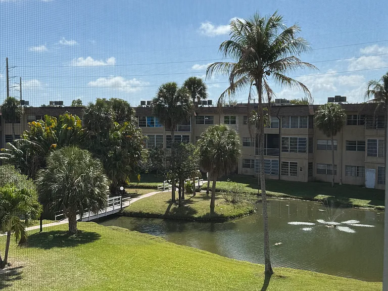View from back patio