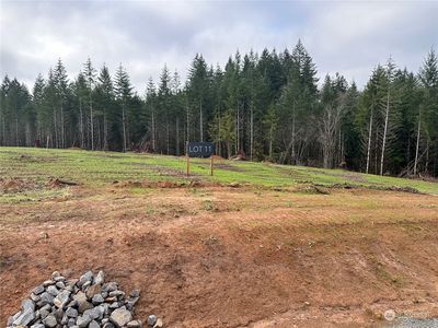 196 Ash Mountain Drive #1, Castle Rock, WA, 98611