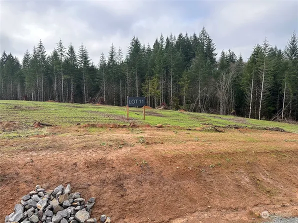196 Ash Mountain Drive #1, Castle Rock, WA 98611