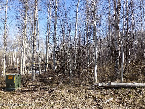 5th image of 43 Moose Lane Thayne Wy 83127
