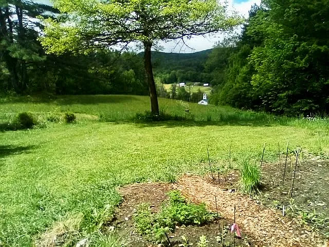 4095 Allen Hill Rd — Photo 11