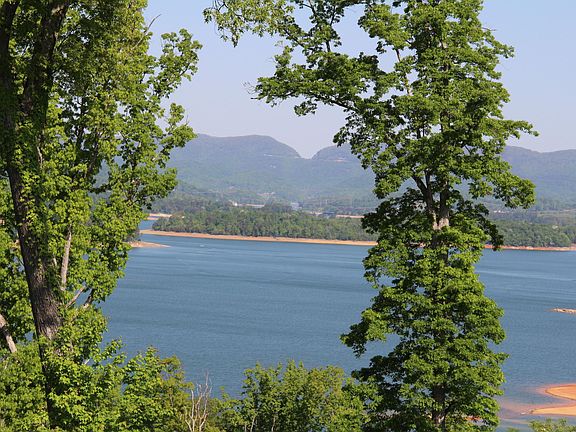 Image 2: windswept view