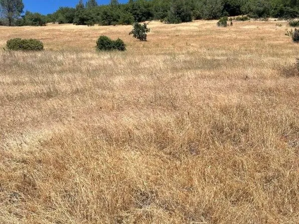10075 Houghton Ranch Rd, Penn Valley, CA 95946