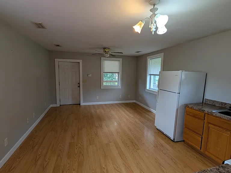 207 US Highway 321 #SUITE2APARTMENT — Photo 4