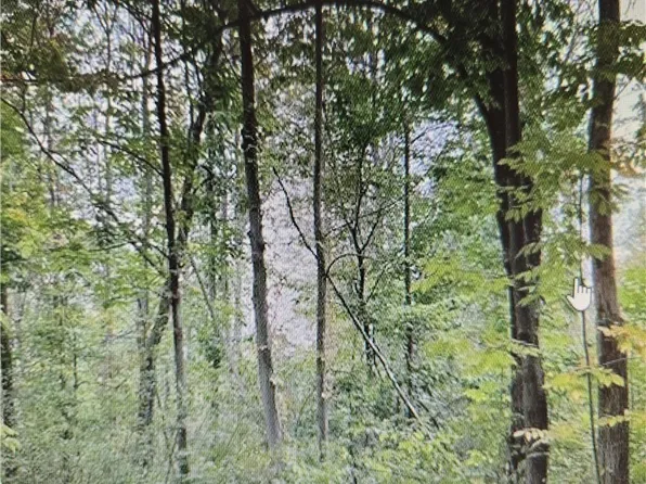 5 West Ave Lot 5-16, Portland, NY 14769