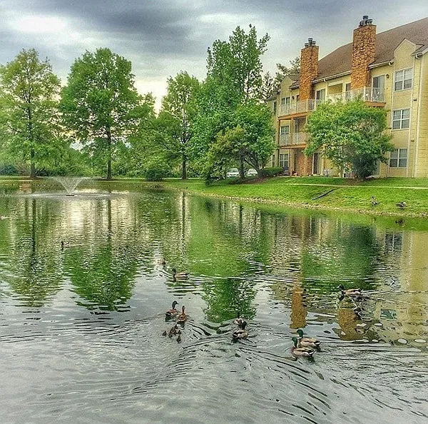 Winchester Place Apartments