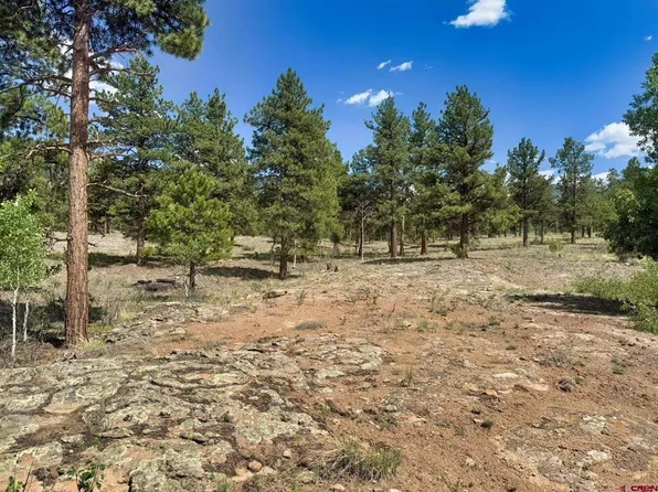 22 Church Creek Circle, South Fork, CO 81154