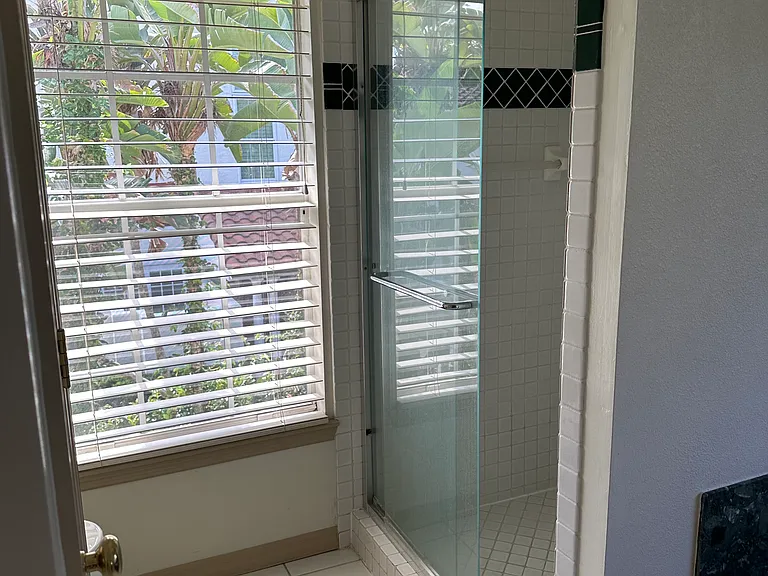 Master bath shower