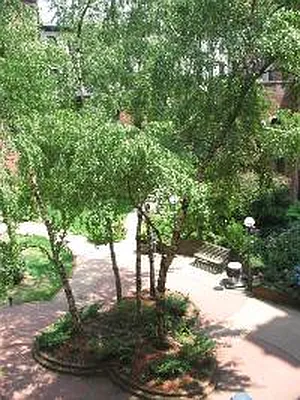 Rented by Corcoran | media 7