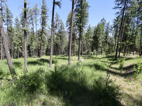 Nhn Cherry Creek Rd, Thompson Falls, MT 59873