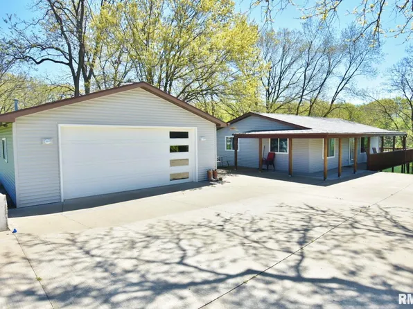 111 Birch Ct, Dahinda, IL 61428