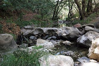 Swimming hole :: 5700 Dry Creek Road