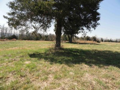 0 Holly Mountain Rd, Shirley, AR, 72153