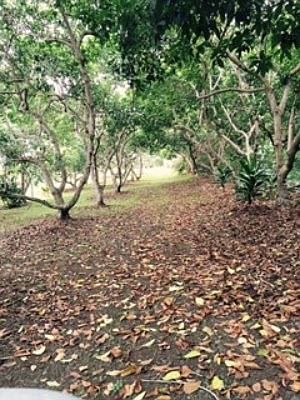 4th image of 73-4615 Kohanaiki Rd Lot 5-B