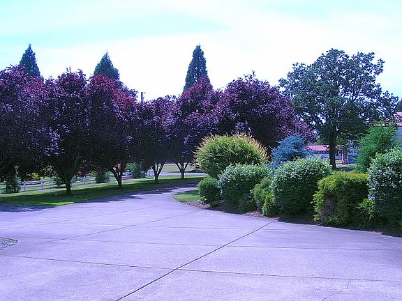 Driveway